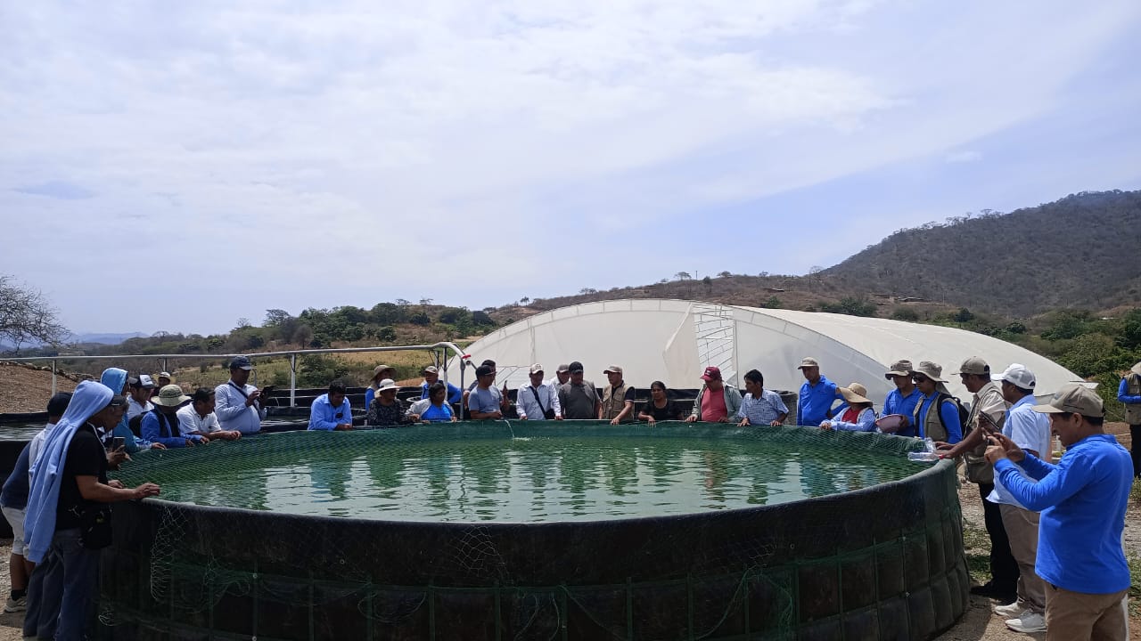 Estanque de tilapia del Proyecto Tilapia Tambogrande